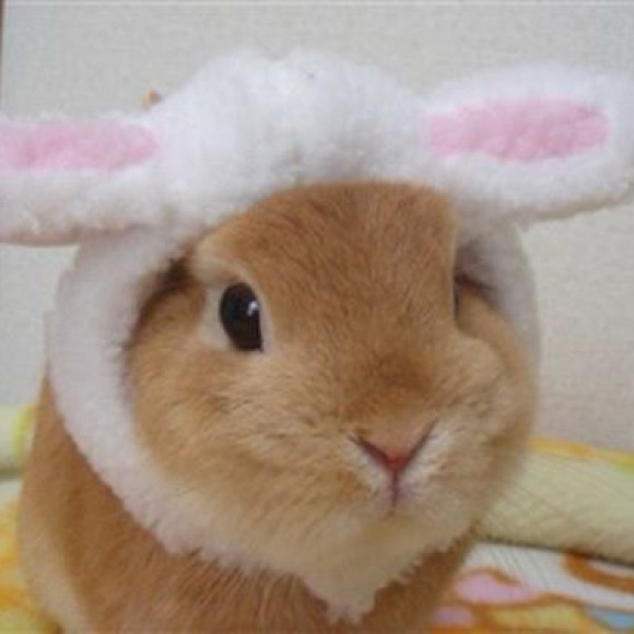buny0907